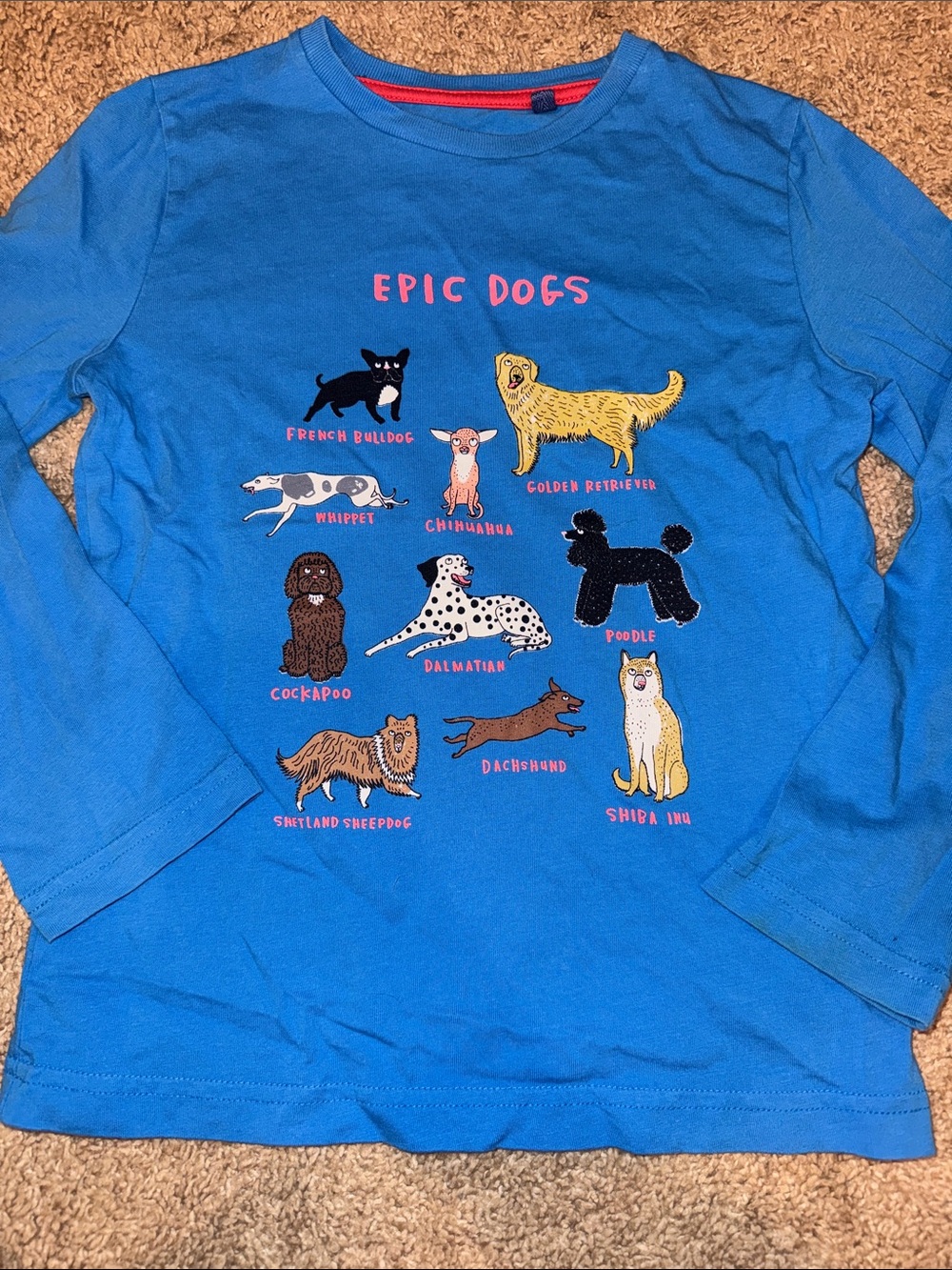 Mini Boden Blue 'Epic Dogs' Graphic Long-Sleeve Dog Tee
